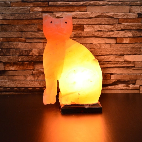 Animal Shape Himalayan Salt Lamp