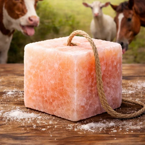 Animal lick salt cube block