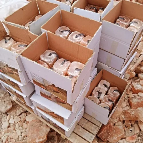 Natural Himalayan salt lick for animals in farm