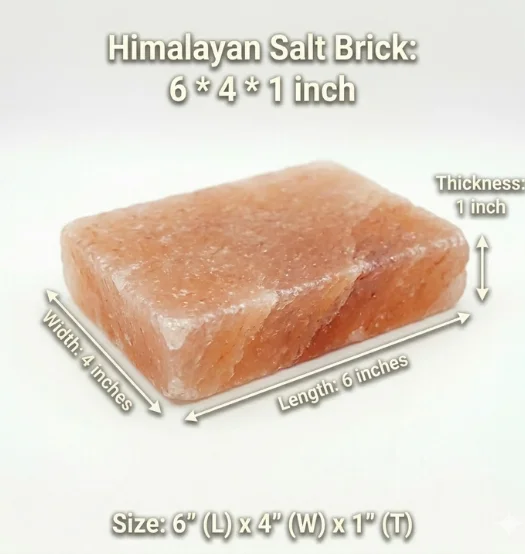 Salt Bricks 6_4_1